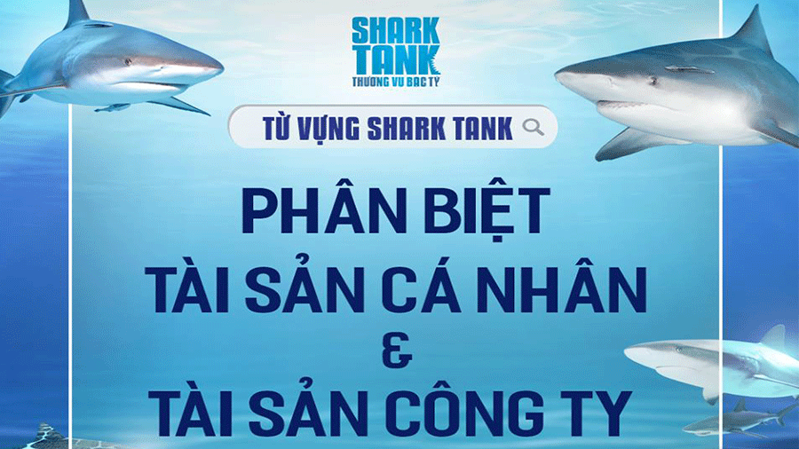 tu-vung-shark-tank-phan-biet-giua-tai-san-ca-nhan-va-tai-san-cong-ty