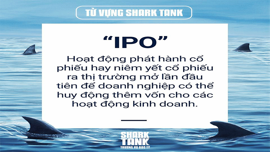 tu-vung-shark-tank-ipo-initial-public-offering