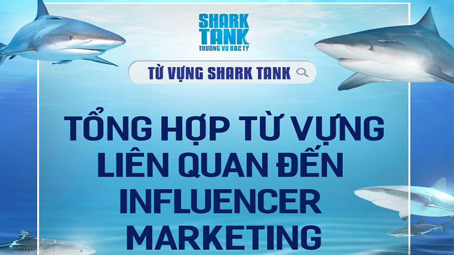 tu-vung-shark-tank-influencer-marketing-va-nhung-thuat-ngu-c-ban
