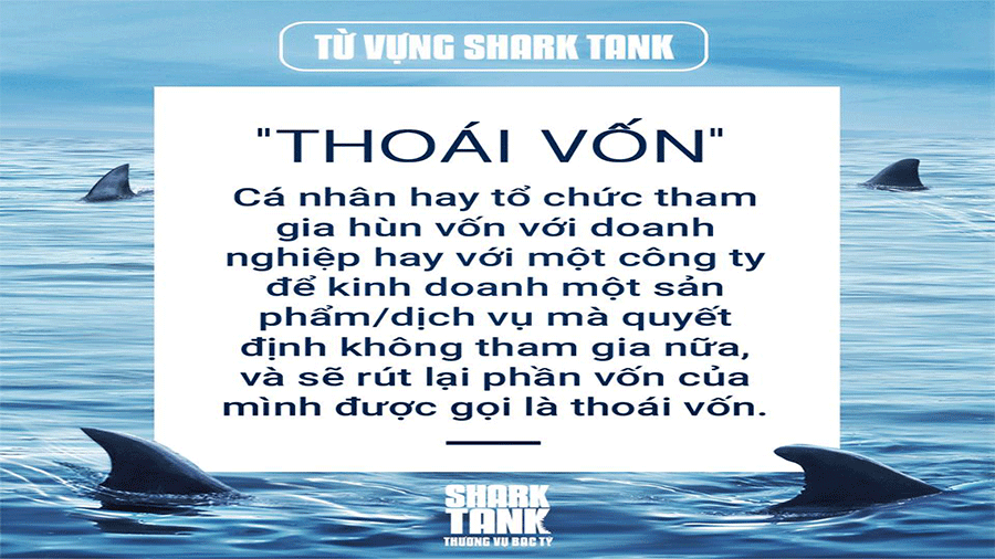 tu-vung-shark-tank-thoai-von-la-gi