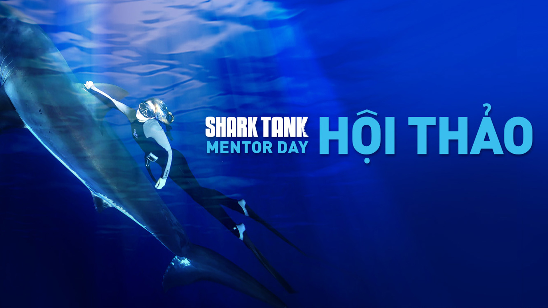 mentor-day-su-kien-hay-danh-cho-startup-lan-dau-tien-xuat-hien-tai-shark-tank-viet-nam-mua-3